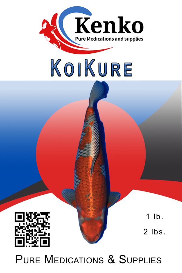 Kenko Koi Kure 1