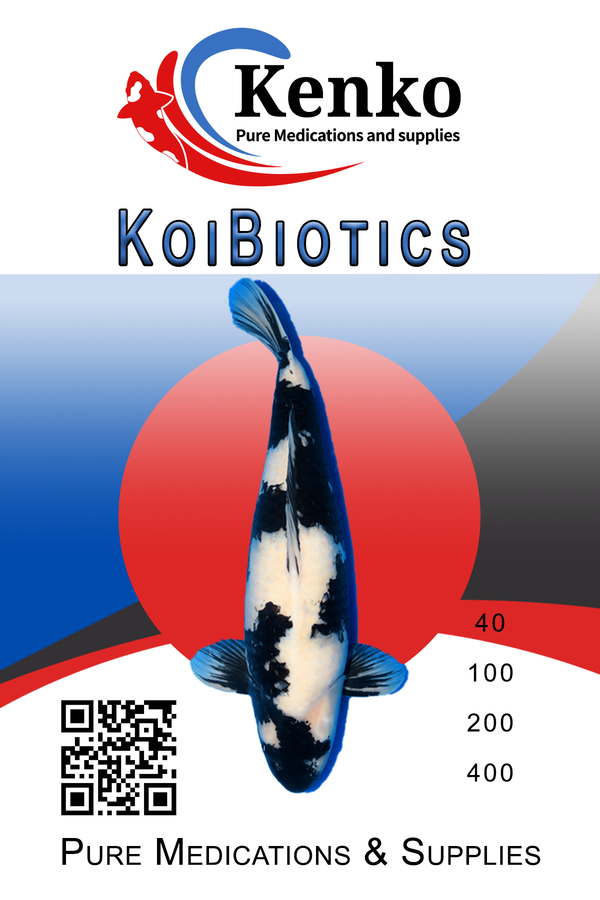 Kenko Koibiotics 1